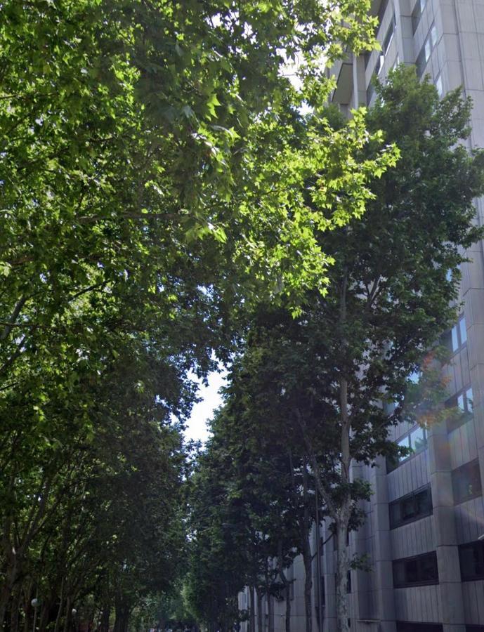 Bernabeu, Luxury Y Luminoso Apartamento Entero Madryt Zewnętrze zdjęcie