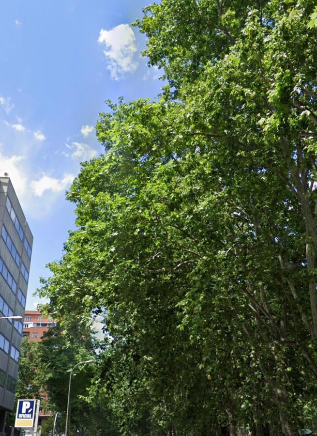 Bernabeu, Luxury Y Luminoso Apartamento Entero Madryt Zewnętrze zdjęcie